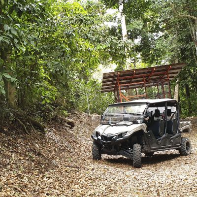 Panama Hartmann Geisha - Ultra Limited - Espresso