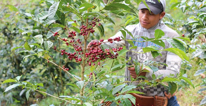 Prijswijziging per 31 mei 2023