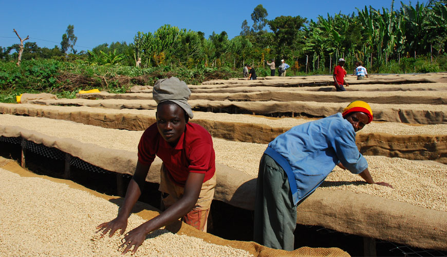 Prijswijzigingen per 1 november 2021